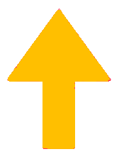 l'amour du Christ fait germer des disciples